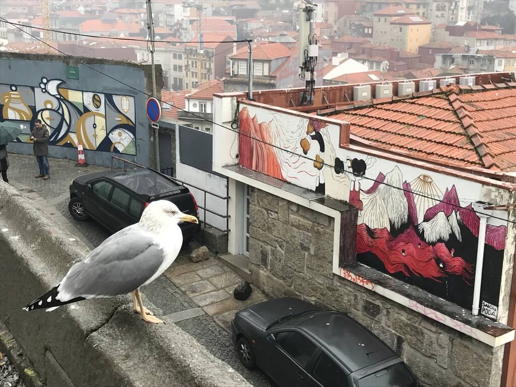 miradores de Oporto