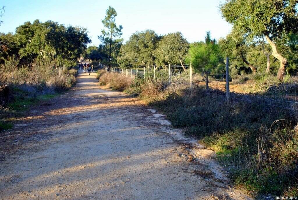 Sendero que conduce al Crómlech de los Almendros