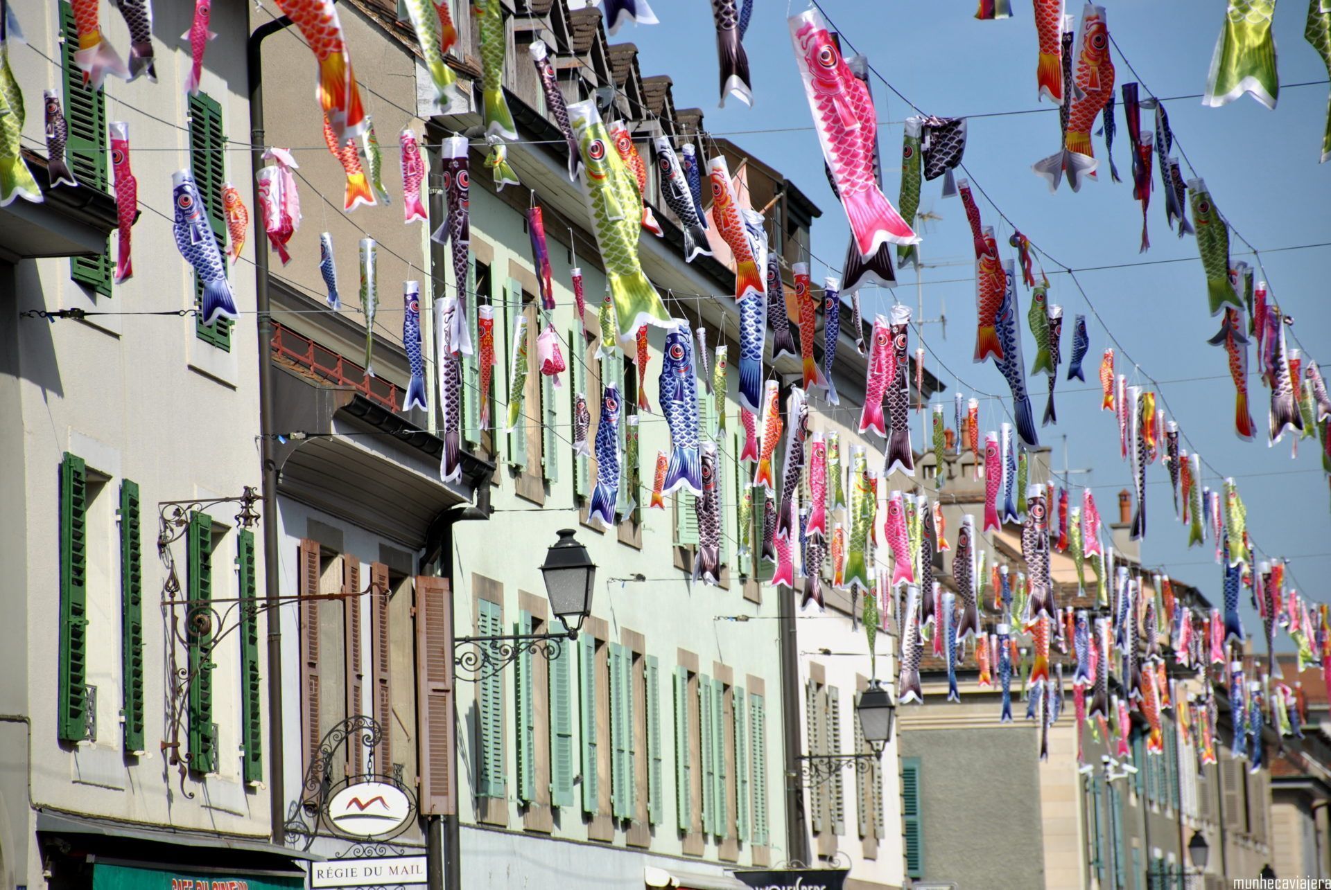 Le Carouge