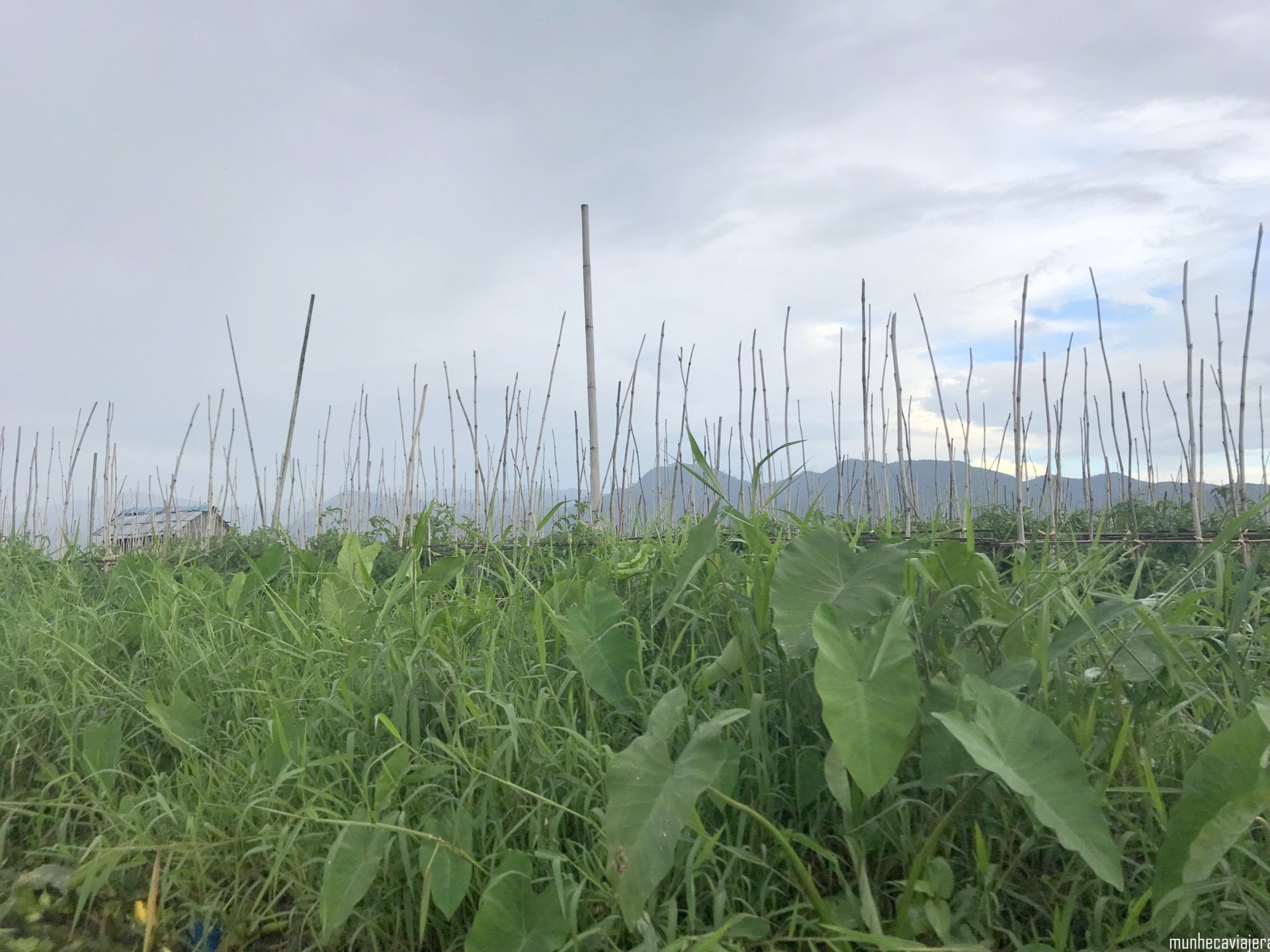 qué ver en el lago inle